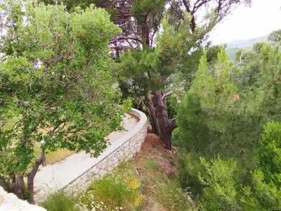 a stone wall in the middle of some trees at Bay View Apartments in Petrovac na Moru