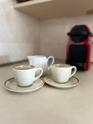 two cups of coffee on plates on a counter at Charming and nature surrounded in Podgorica