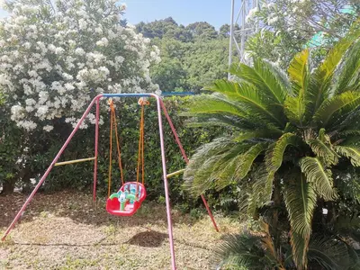 a swing in a garden with a palm tree at Apartments Maris in Petrovac na Moru
