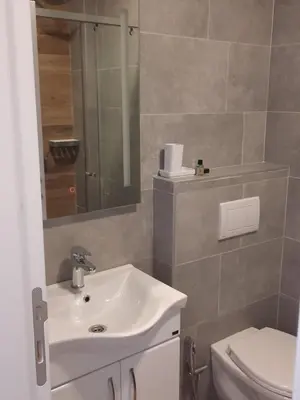 a bathroom with a sink and a toilet at Eagles Locus Apartments in Ulcinj