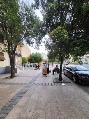 a sidewalk with trees and a car on a street at Centre Podgorica apartment in Podgorica