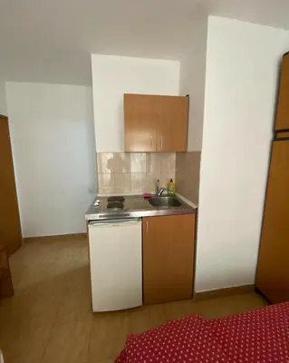 a small kitchen with a sink and a stove at Apartmani Jovanovic Canj in Čanj
