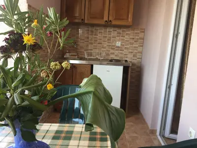a kitchen with a table and some plants at Friendly House in Ulcinj