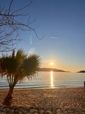 a sunset on a beach with a palm tree at Sea view in Rafailovici