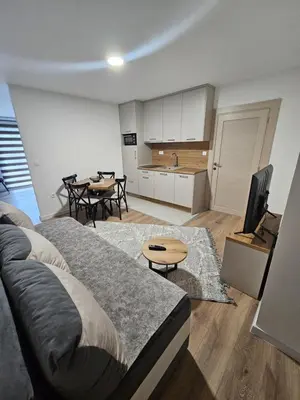 a living room with a bed and a kitchen at Apartment Anita Cetinje in Cetinje