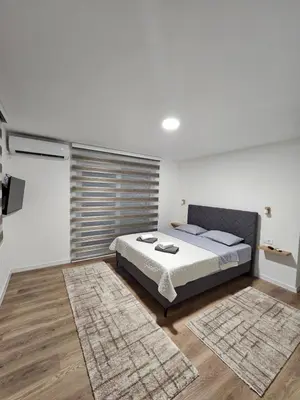 a bedroom with a king sized bed and a television at Apartment Anita Cetinje in Cetinje