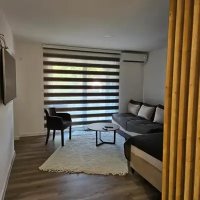 Apartment Anita Cetinje 2