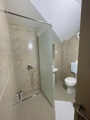 a bathroom with a shower with a toilet and a sink at Apartments Zejak in Mitrovići