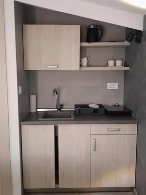 a kitchen with wooden cabinets and a sink at Apartments Zejak in Mitrovići