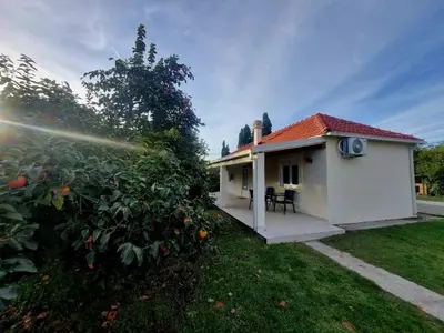 a small white house with an orange tree next to it at Apartment Matija Airport in Podgorica