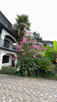a bush of pink flowers in front of a building at Happy Home in Lastva