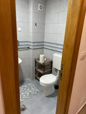 a bathroom with a toilet and a sink at Viktor Apartman in Podgorica