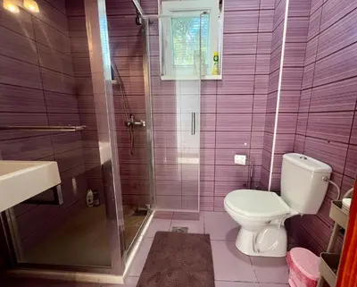 a bathroom with a toilet and a shower with purple tiles at Blue Sky Villa in Brca