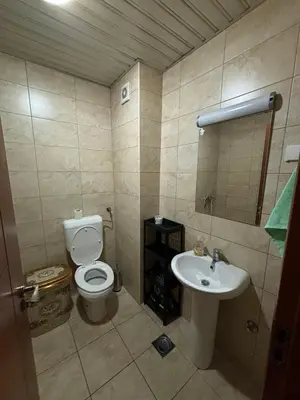 a bathroom with a toilet and a sink at Apartman 38 in Podgorica