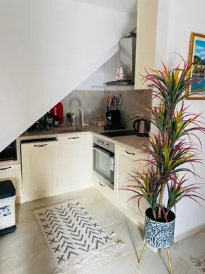 a kitchen with white cabinets and a potted plant at Casa Behar in Kotor