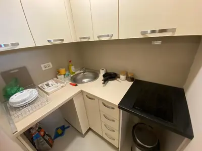 a small kitchen with a sink and a dishwasher at Podgorica 23 in Podgorica