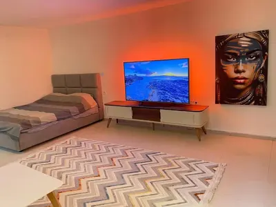 a living room with a bed and a flat screen tv at Podgorica 23 in Podgorica