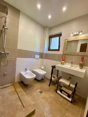 a bathroom with a toilet and a sink and a shower at Villa Nika in Brežani