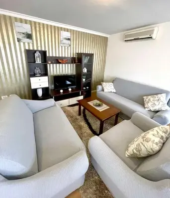 a living room with two couches and a tv at City center 34 in Podgorica