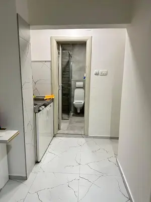 a bathroom with a toilet and a door to a room at Apartman Vesna Budva 2 in Lugovi