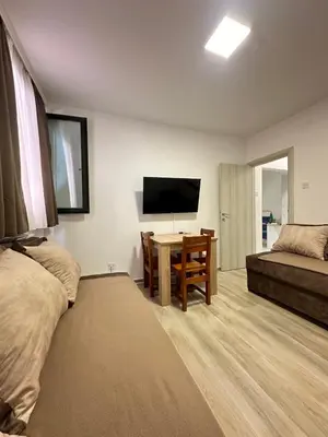 a bedroom with a bed and a table with a television at Apartman Vesna Budva 2 in Lugovi