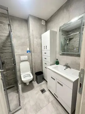 a bathroom with a toilet and a sink and a shower at Apartman Vesna Budva 2 in Lugovi