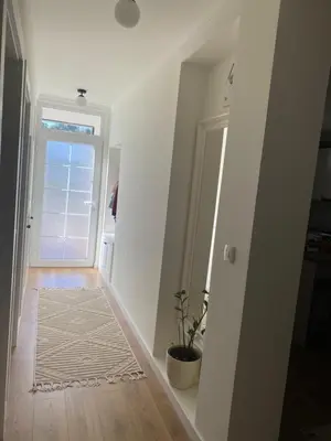 a hallway with a door and a rug and a plant at Virtuo Apartment in Budva