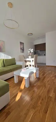 a living room with a couch and a table at Zoya Apartment in Podgorica