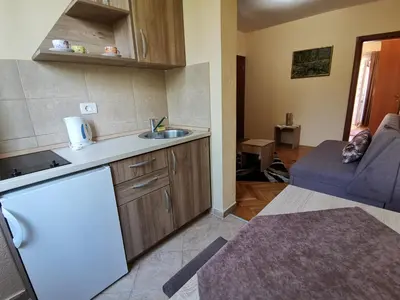 a kitchen and living room with a sink and a couch at Apartments Abramovic in Sutomore