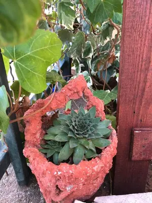 a plant in a red pot on a fence at Holiday Home Siesta in Dobra Voda