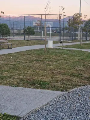 a park with a bench and a tree in the grass at City Haven Deluxe in Podgorica