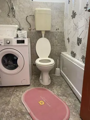 a bathroom with a toilet and a washing machine at Private house in the Capital City of Montenegro in Podgorica