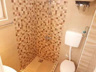 a bathroom with a shower with a toilet at Apartments Taida in Dobra Voda