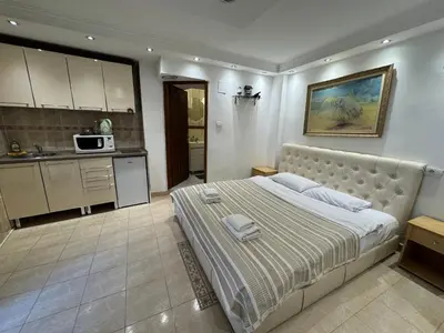 a bedroom with a large bed and a kitchen at Vita Mundo in Kotor