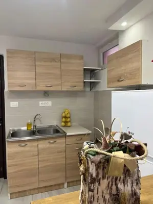 a kitchen with a sink and a refrigerator at Studio apartman Gara in Kotor