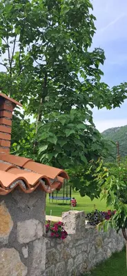 a view of a tree and a stone wall at Woodhouse Maja in Virpazar
