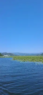 a large body of water with green plants at Woodhouse Maja in Virpazar