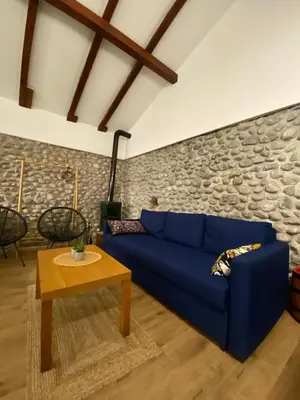 a blue couch in a living room with a stone wall at Cevna River in Podgorica