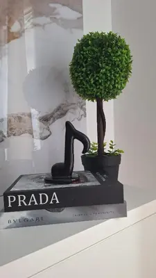 a bonsai tree sitting on a display case at Ella Lux Apartment in Podgorica