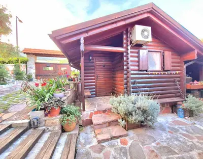 a wooden cabin with potted plants in front of it at Eko apartments Drvljanik in Kaluđerac