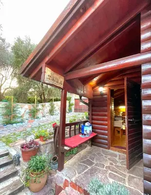 a wooden building with a porch with potted plants at Eko apartments Drvljanik in Kaluđerac
