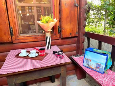a picnic table with a vase of flowers on it at Eko apartments Drvljanik in Kaluđerac