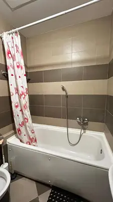 a bathroom with a bath tub with a shower at Sunrise apartment in Podgorica