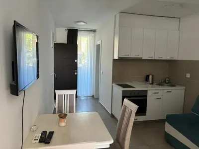 a kitchen and living room with a table and a television at Aleksandar in Budva