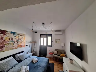 a living room with a bed and a tv at Cozy City Centar Studio in Podgorica