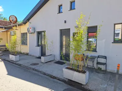 a house with three potted trees in front of it at Cozy City Centar Studio in Podgorica
