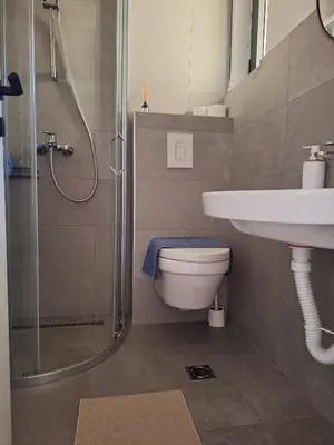 a bathroom with a sink and a toilet and a shower at Cozy City Centar Studio in Podgorica