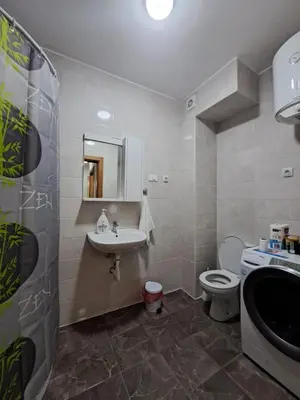 a bathroom with a sink and a toilet at Gruda 086 in Cetinje