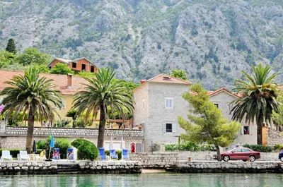 a building next to a body of water with palm trees at Apartments Ave R in Kotor