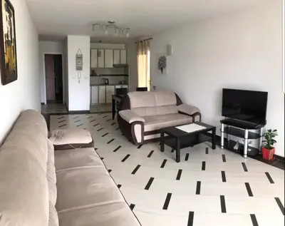 a living room with a couch and a television at Jednosoban apartman Anara Prijevor in Budva